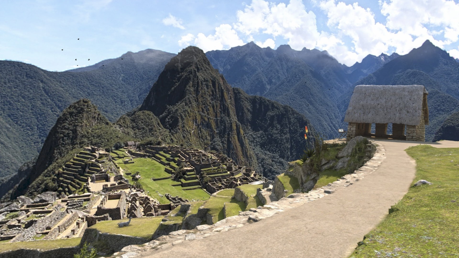 View of Machu Picchu from a terraced hill.