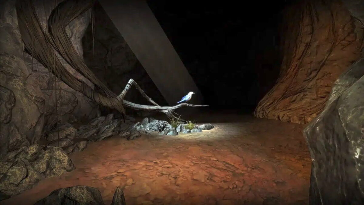 A bird sits on a branch inside a cave, a glow of light from outside falls on it.