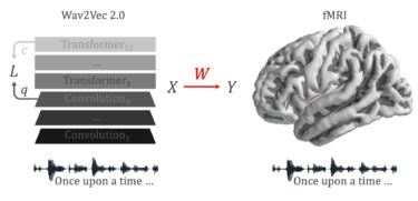 Can AI discover the laws of human language acquisition?