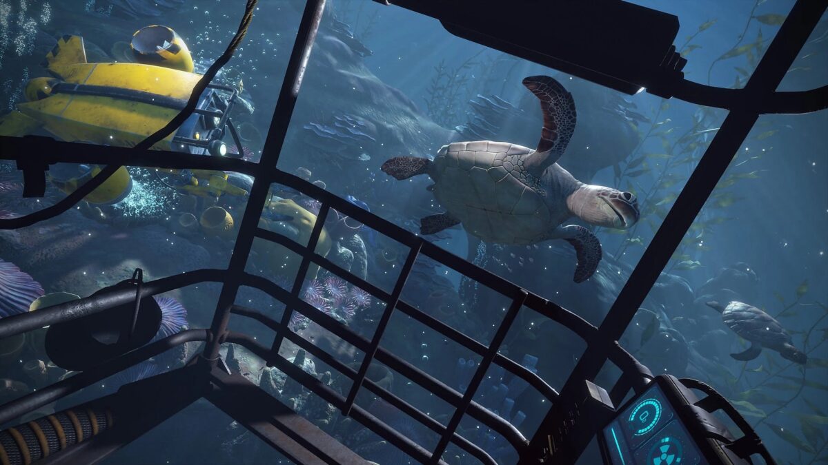 View from an underwater cage into a busy underwater world.
