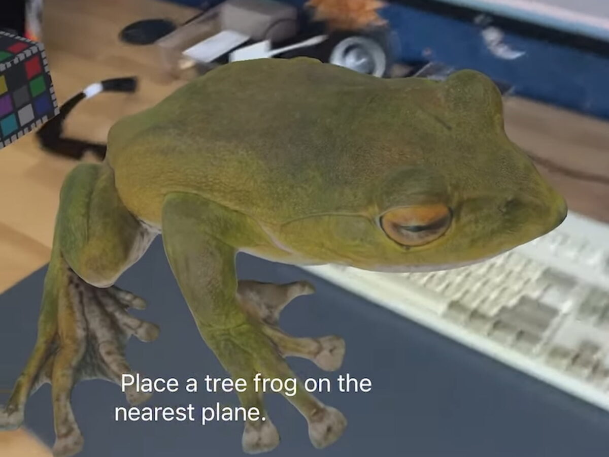A digital frog sits on a real desk