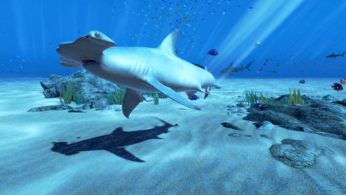 A hammerhead shark glides over a sandy sea floor, the underwater graphics look very real.