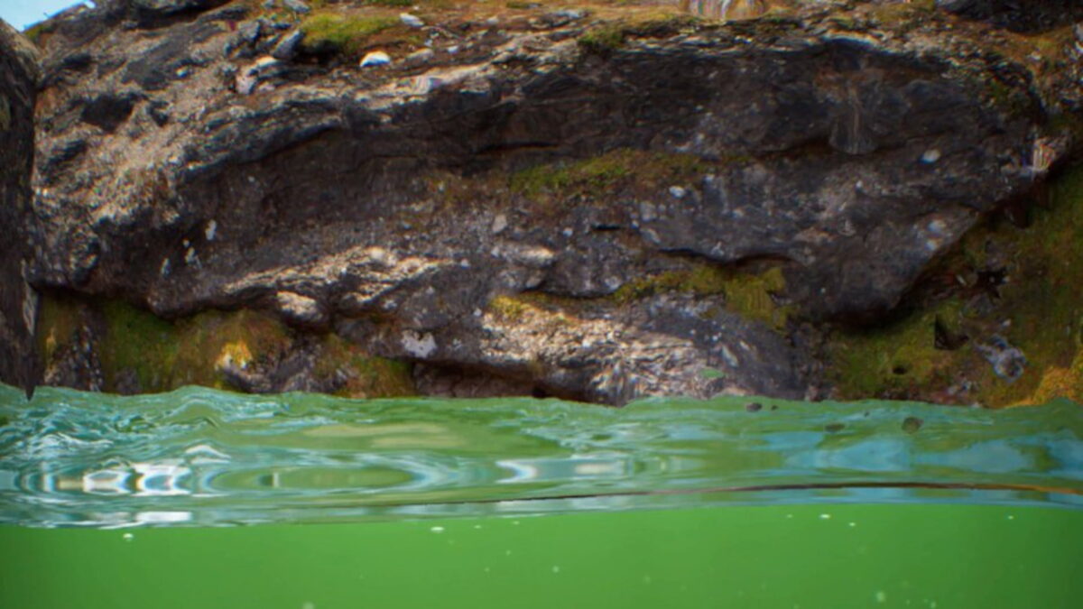 Diver's view of a murky pool of green water with a rock behind it.