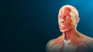 A journey into the human body: How VR helps me understand my injury and heal