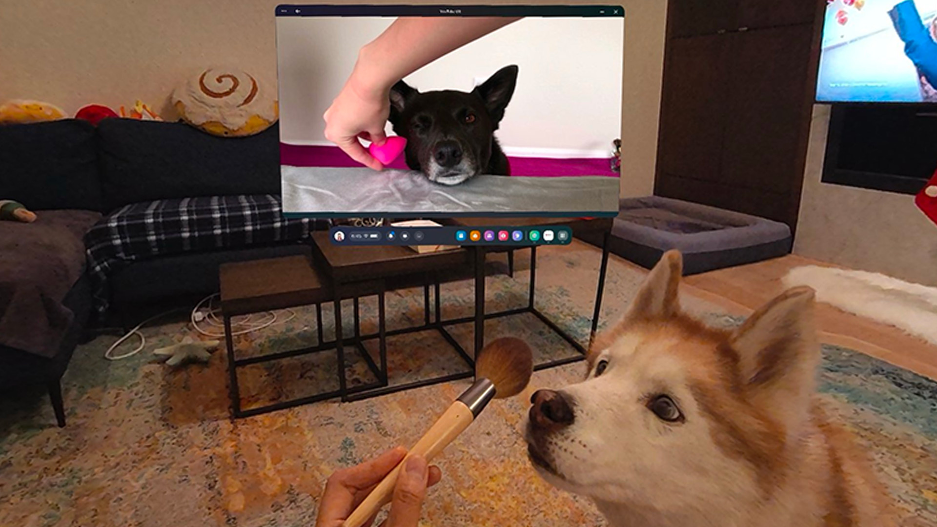 I dont go. Why do you go to school. Present simple kids. I dont go. Didn't want to go back to school.