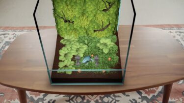 The mixed reality game Vivarium lets you create tiny ecosystems