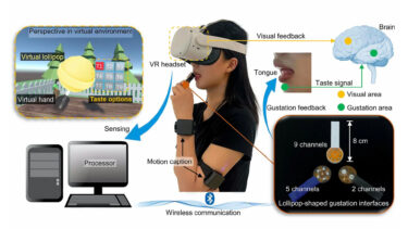 Researchers create lollipop-shaped device to simulate taste in VR