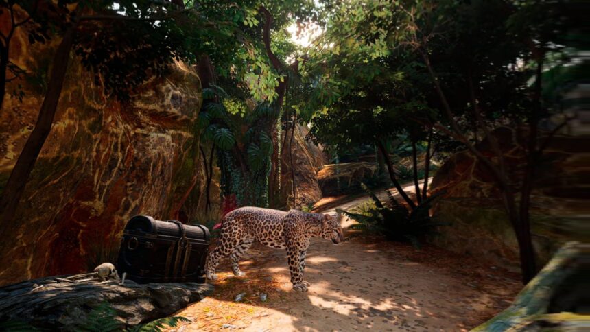 A leopard stands in the jungle next to an old treasure chest.