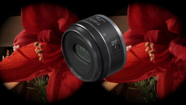 Canon RF-S 7.8mm review: The 3D close-up lens for specialists